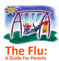 Information about the flu